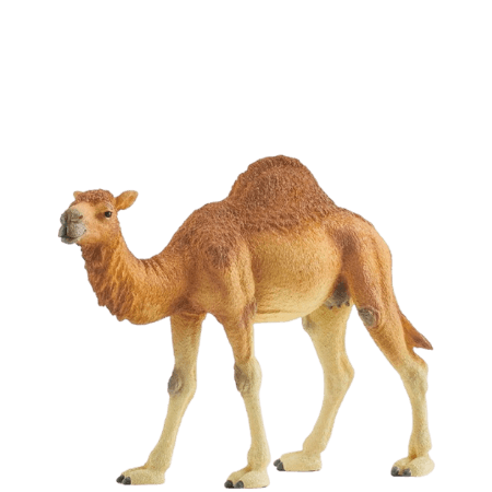 Schleich Dromedar - 14832