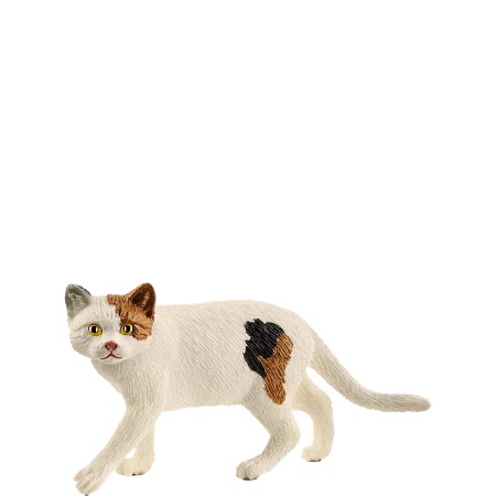 Schleich Amerikansk korthårskatt - 13894