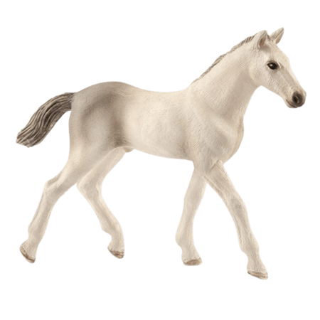 Schleich Holsteiner Føl 13860
