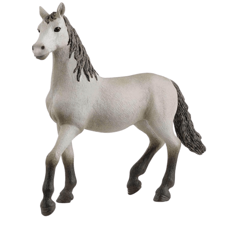 Schleich Pura Raza Española Ung häst 13924