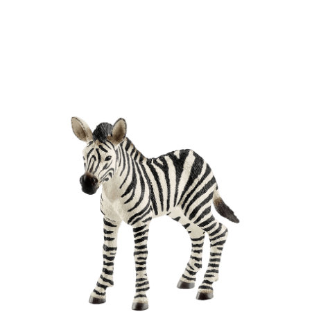 Schleich Zebra föl - 14811