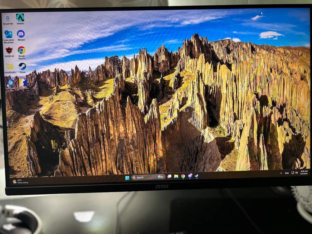 MSI MAG 255XF Full HD 24.5" Rapid IPS Gaming Monitor - Black