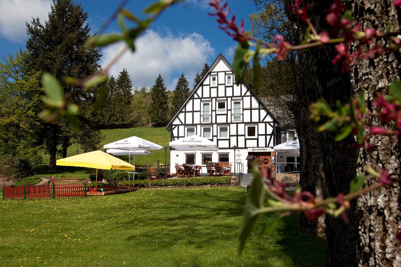Hotell i Siegerland från 136 kr per natt