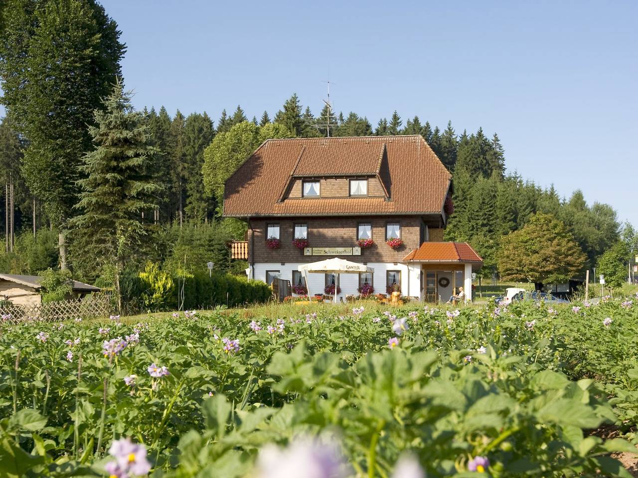 Hotell i Schwarzwald från 60 kr per natt
