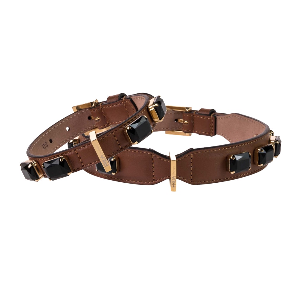 Hundkoppel & Halsband