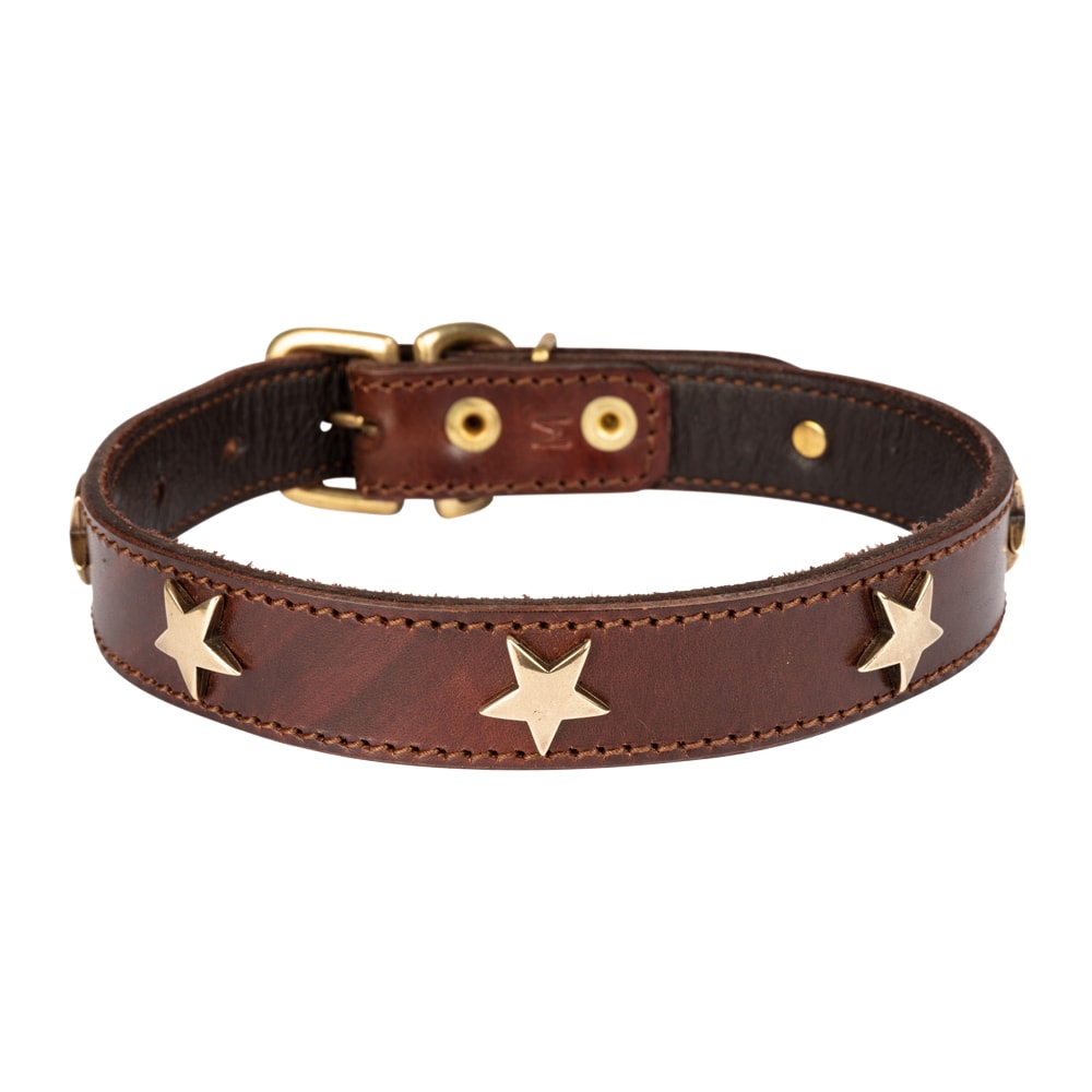 Hundkoppel & Halsband