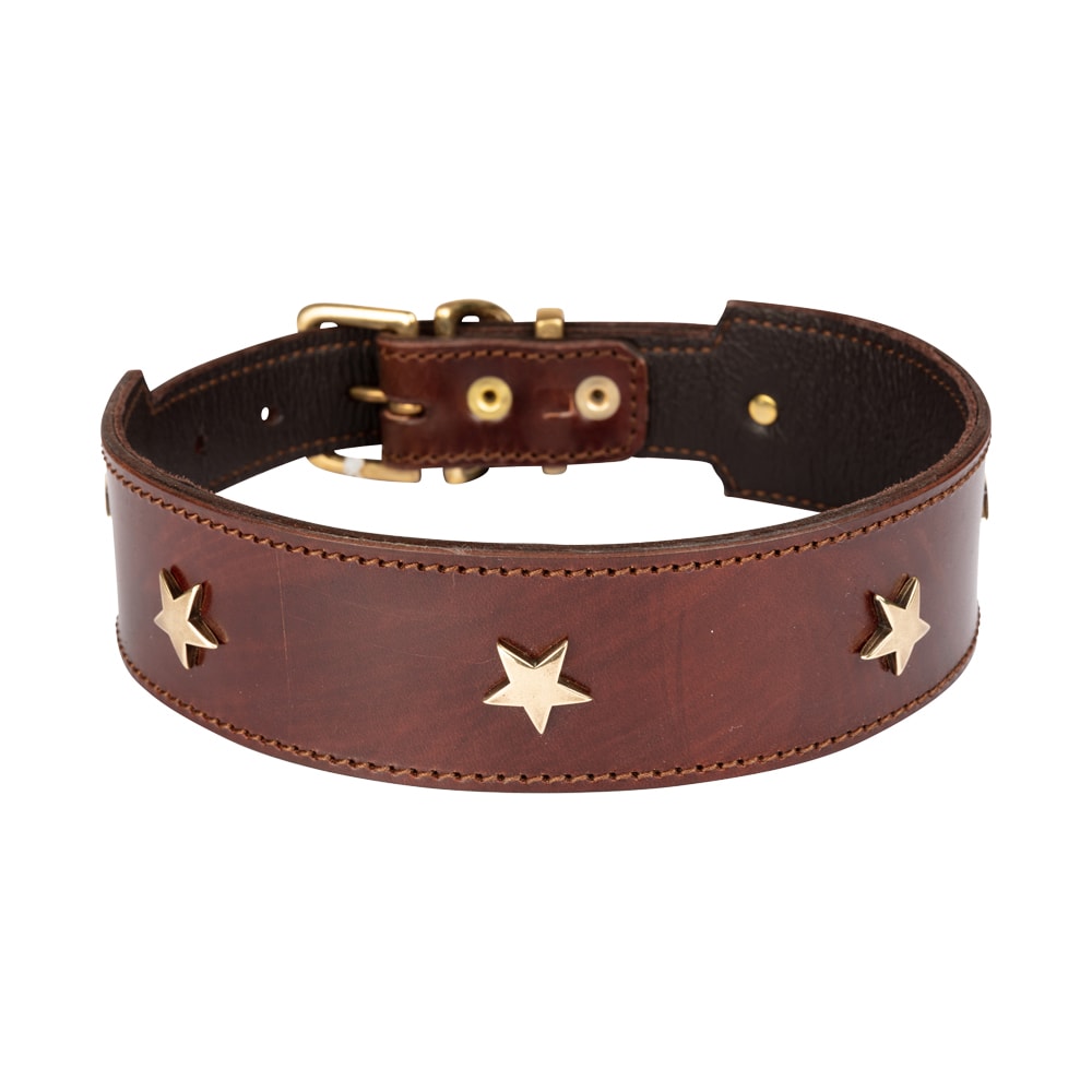 Diamond Dogs | STAR Wide Hundhalsband, Brun/Mässing - XLarge