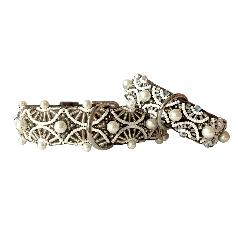 Hundkoppel & Halsband