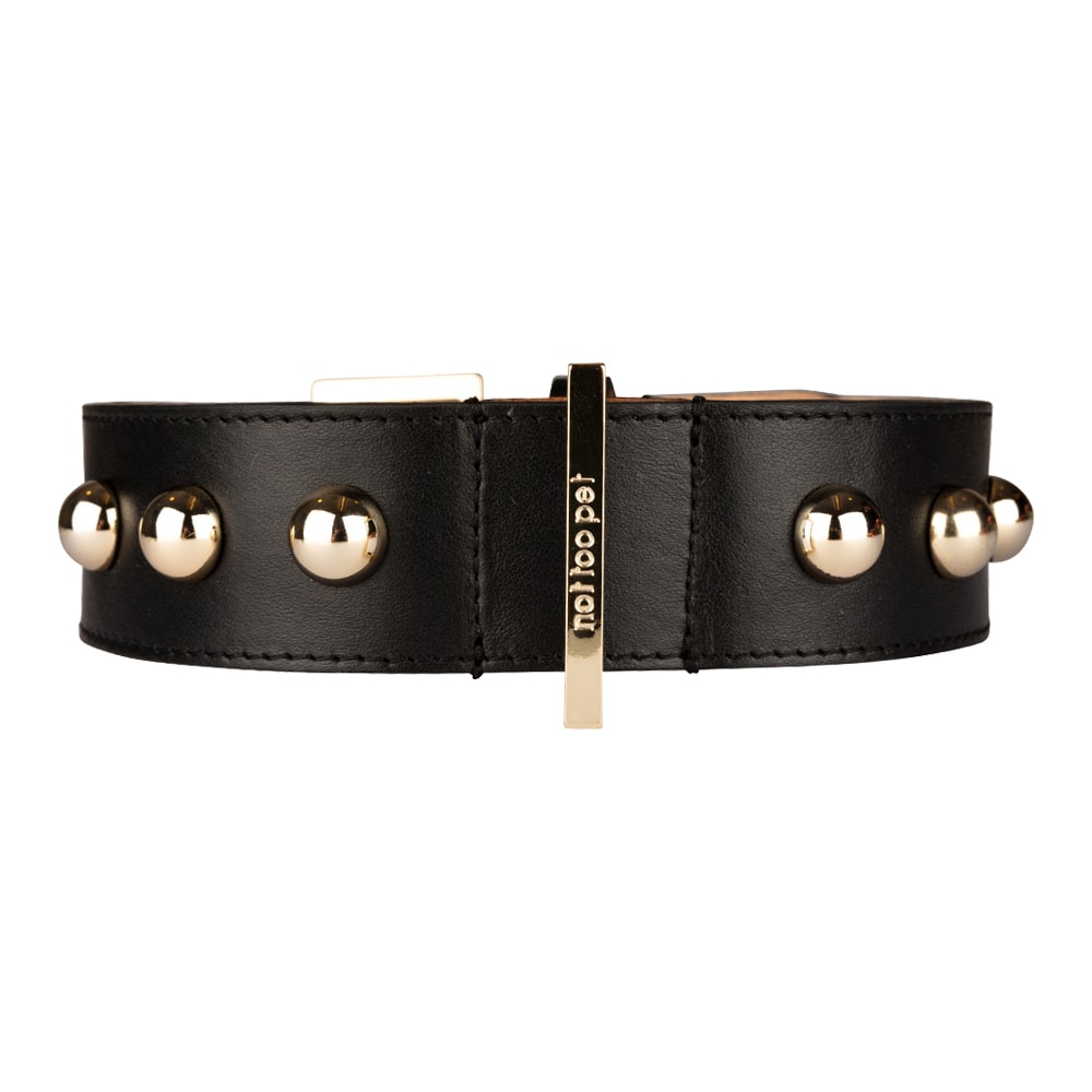 not too pet | Exklusivt Wide Round Stud Hundhalsband, Svart/Guld - Medium