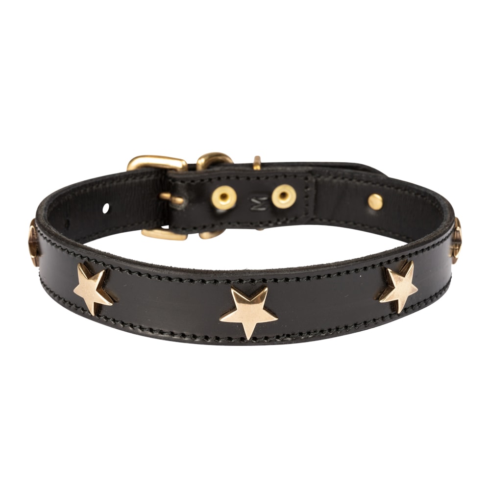 Diamond Dogs | STAR Hundhalsband, Svart/Mässing - XLarge