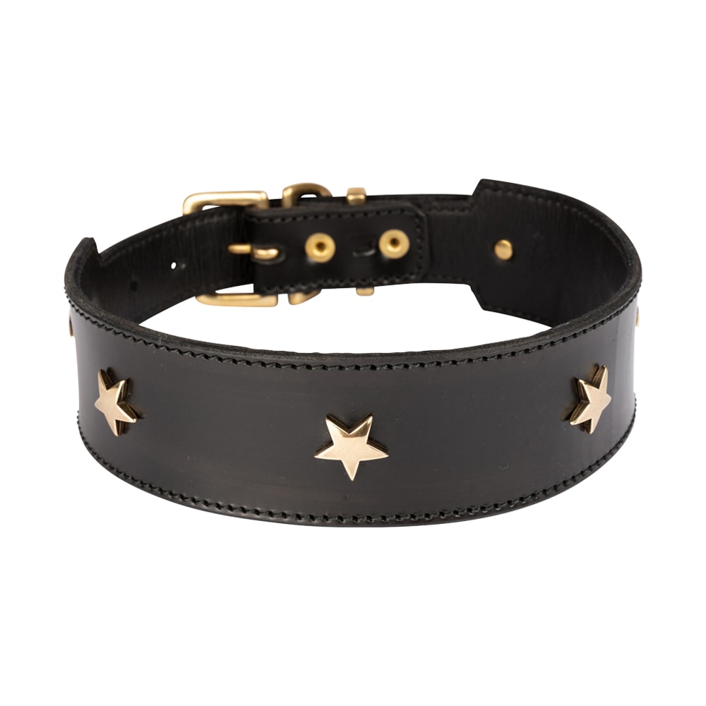 Hundkoppel & Halsband