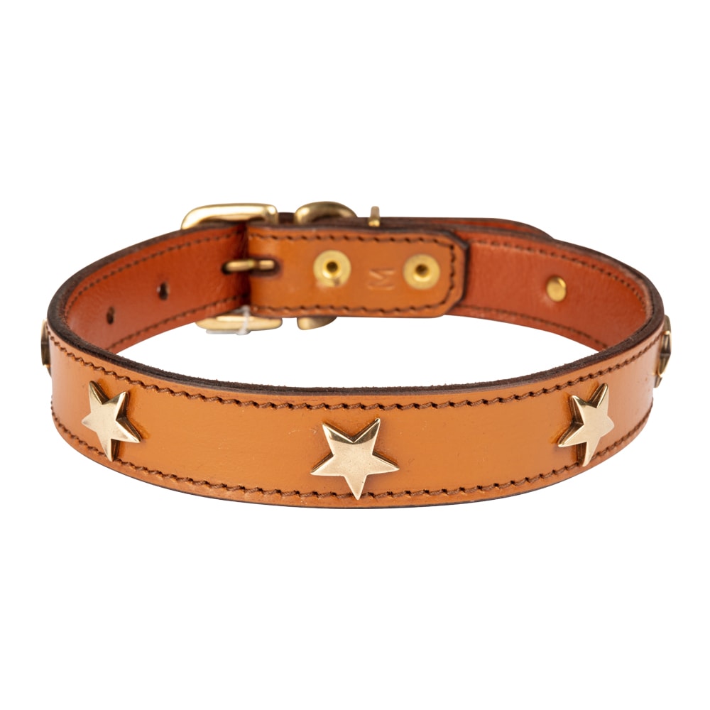 Diamond Dogs | STAR Hundhalsband, Whiskey/Mässing - XLarge