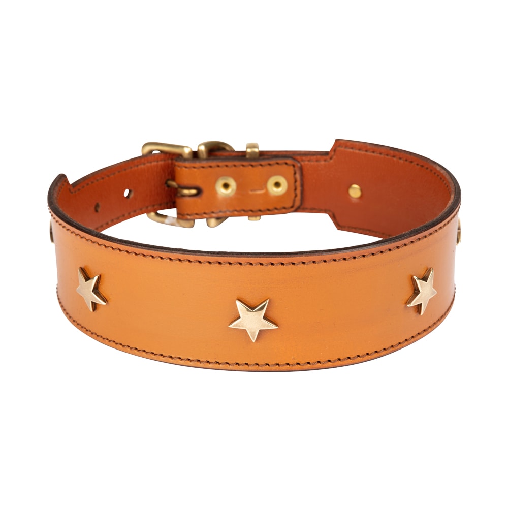 Diamond Dogs | STAR Wide Hundhalsband, Whiskey/Mässing - XLarge