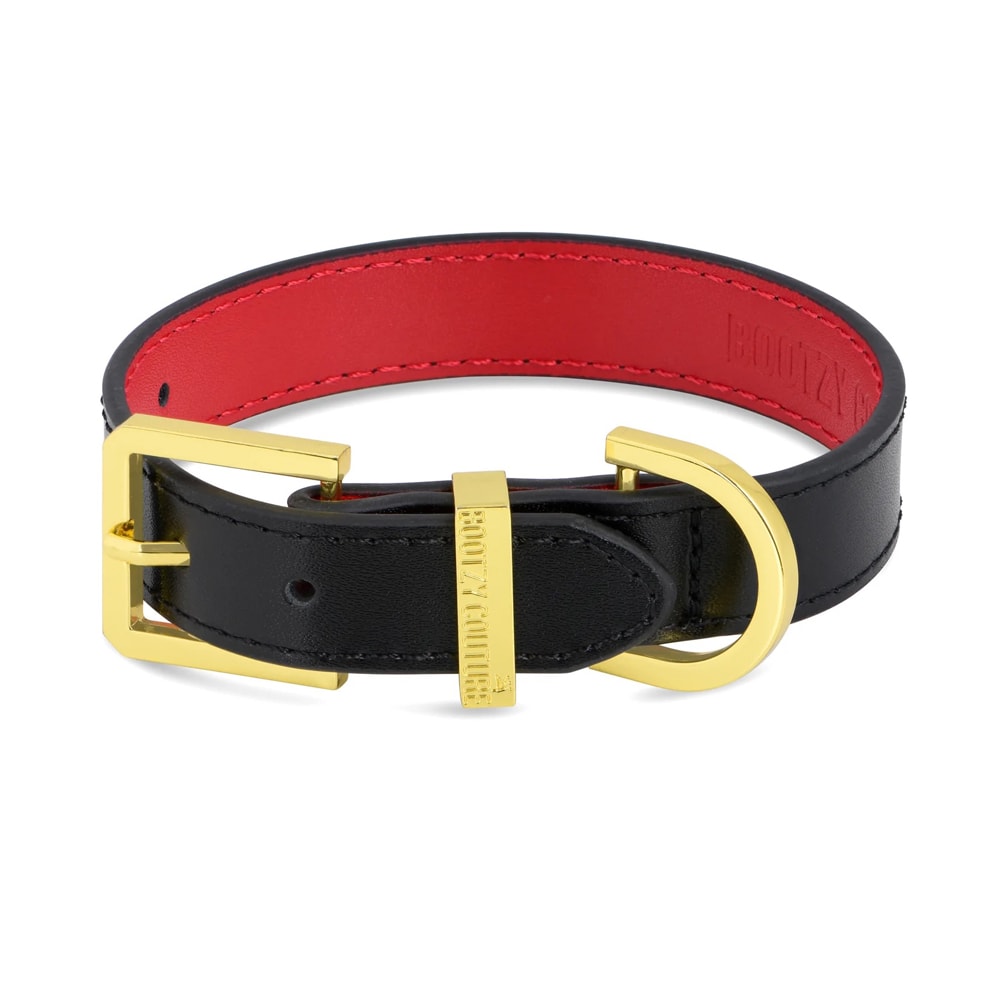 Bootzy Couture | Plain Jane Hundhalsband, Guld - Medium