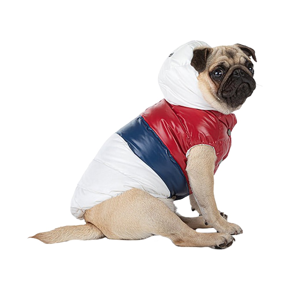 I Love My Dog | Lyxig Hundjacka med Äkta Dun, Tricolor - XX-Large