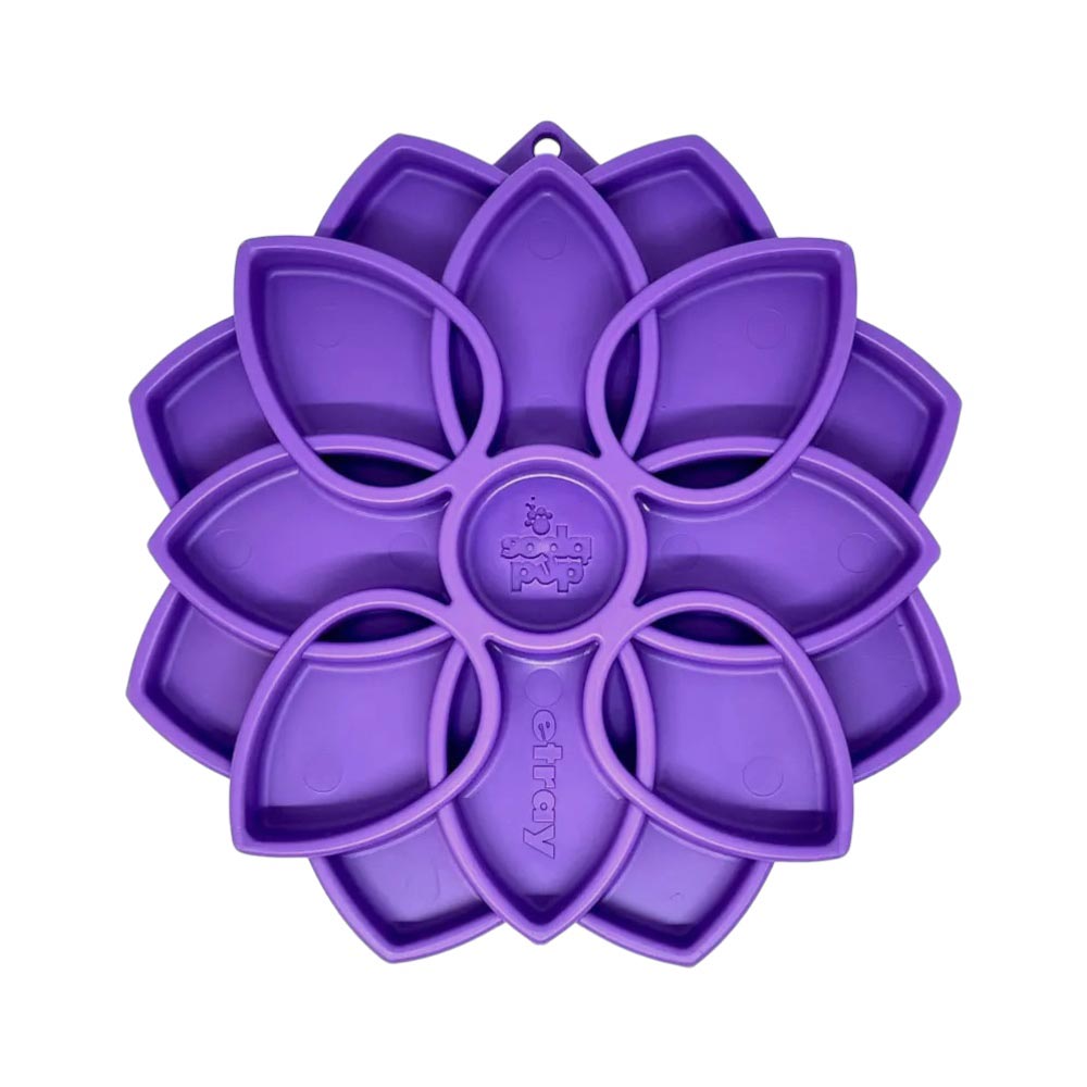 Matskålar & Utfodring