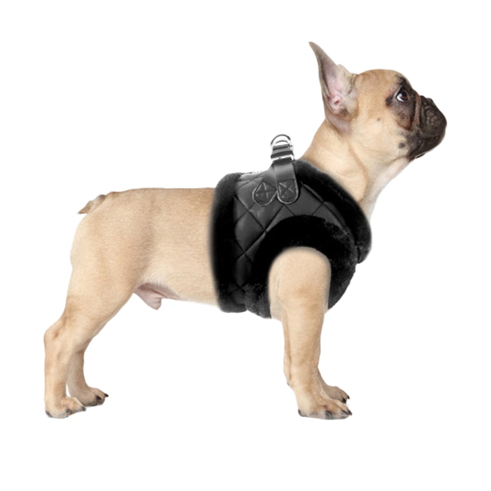 Milk & Pepper | Härligt Varm Step-In Hundsele, Svart Quiltad - 38