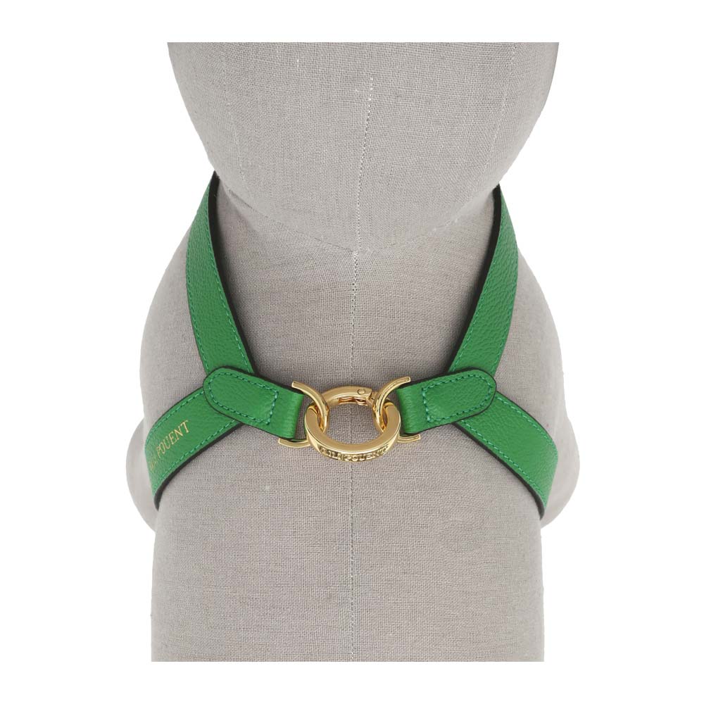 Lili Pouent | Exklusiv Hundsele i Läder, Grön - 2.5