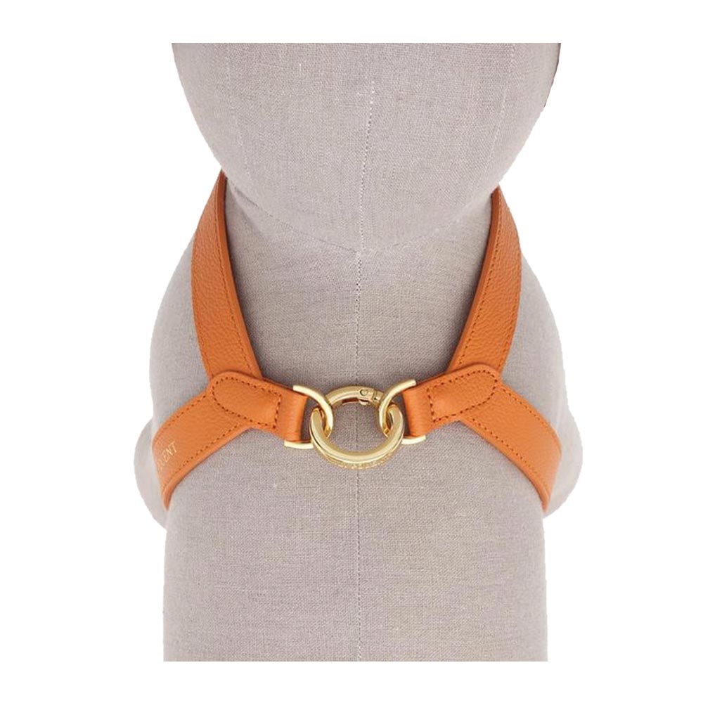 Lili Pouent | Exklusiv Hundsele i Läder, Orange - 6