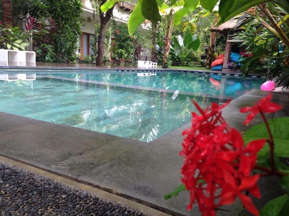 Pemuteran - Arjuna Homestay