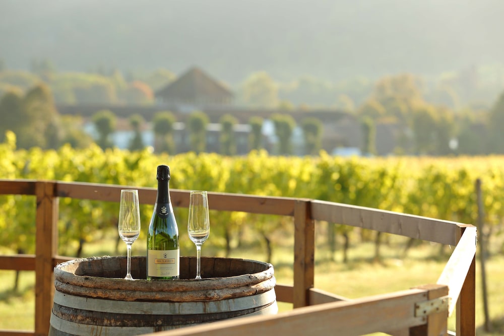 Dorking - Denbies Vineyard Hotel