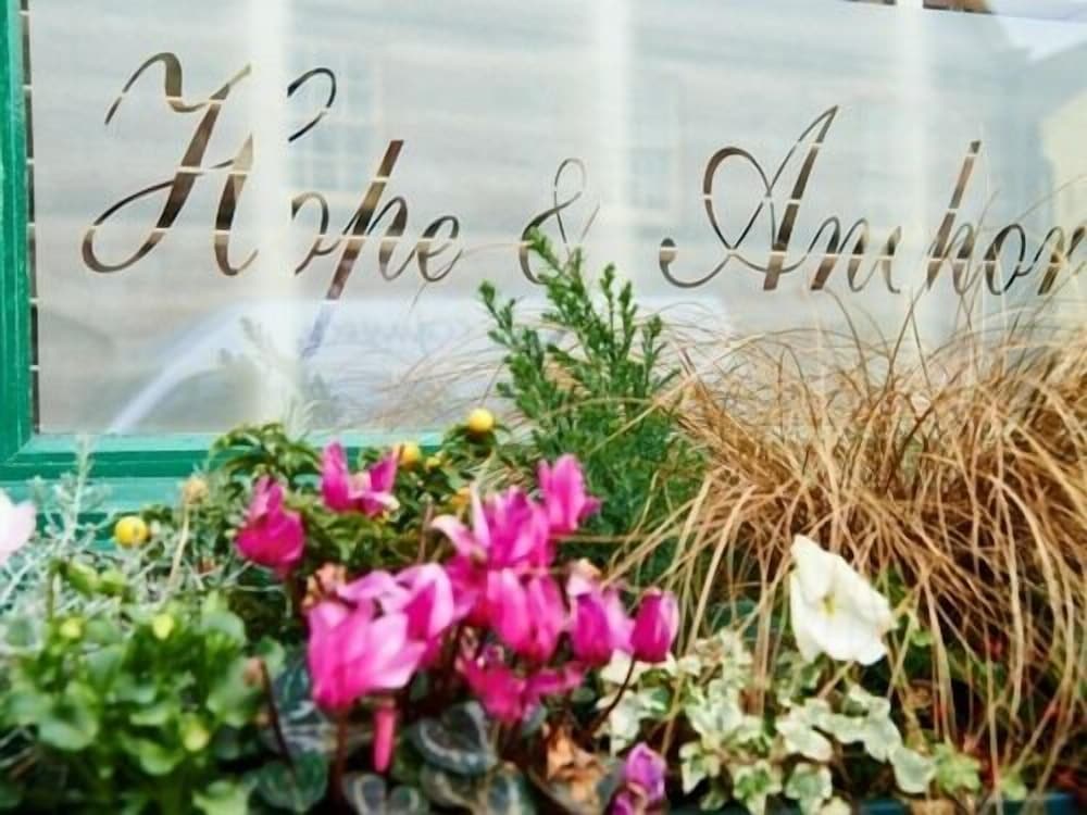 Edlingham - Hope and Anchor Hotel