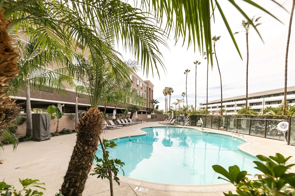 San Diego - Best Western Inn & Suites San Diego Zoo -SeaWorld Area