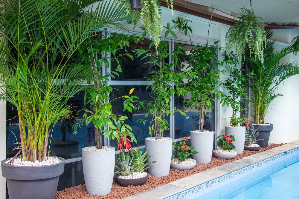 Prestige Manaus Hotel