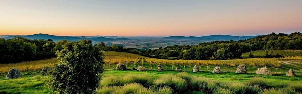 Roccastrada - Valdonica Winery - Chill in Nature Lodge