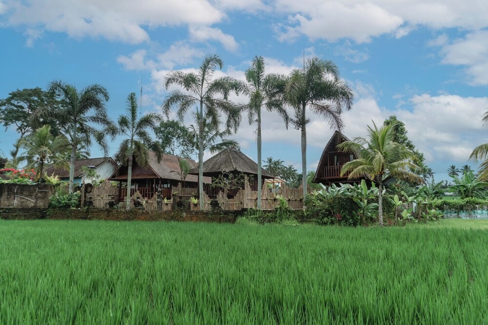 Tegalalang - Umadesa Villa Tegallalang Ubud