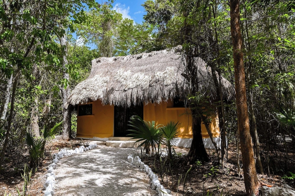 Jolie Jungle Eco Hotel