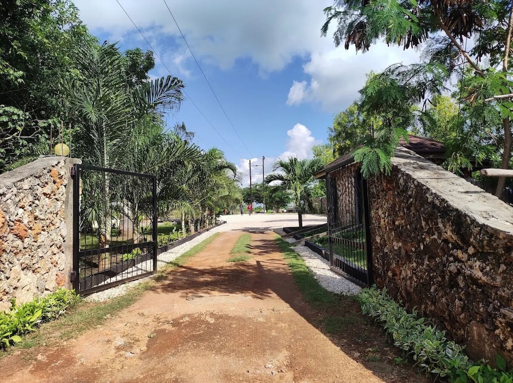Pongwe - Balungiboutiquehotel