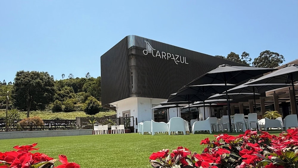 Vilagarcia de Arousa - Harpazul