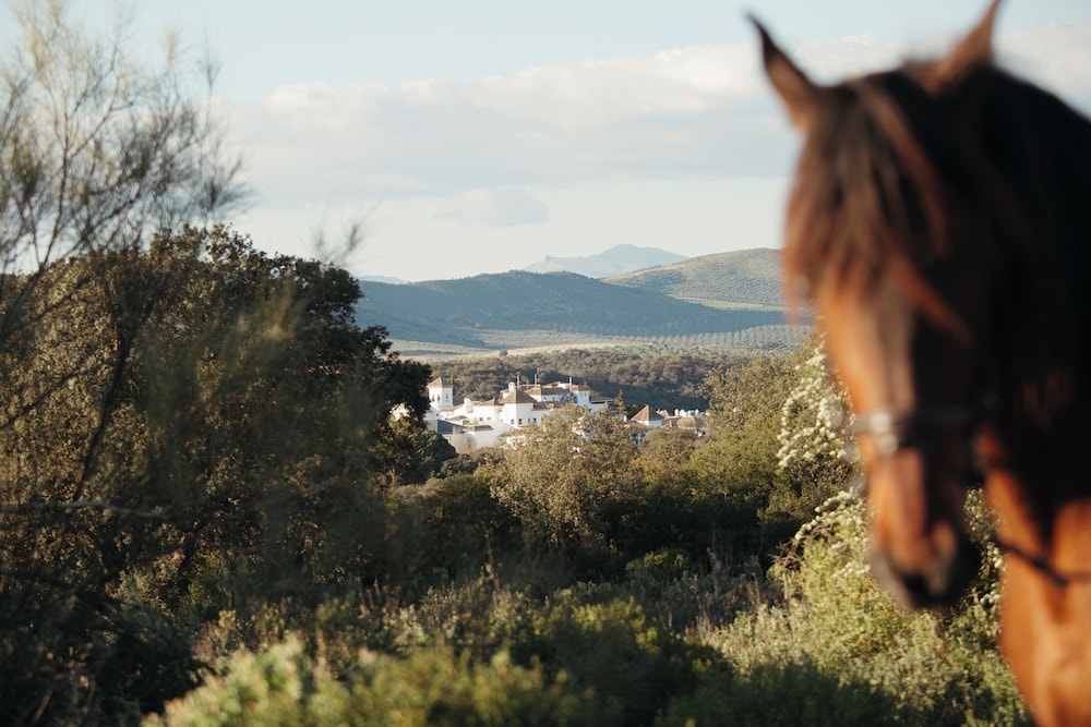 Loja - Finca la Bobadilla, Leading Hotels of the World