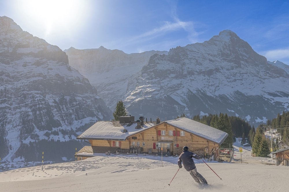 Grindelwald - Alpinhotel Bort