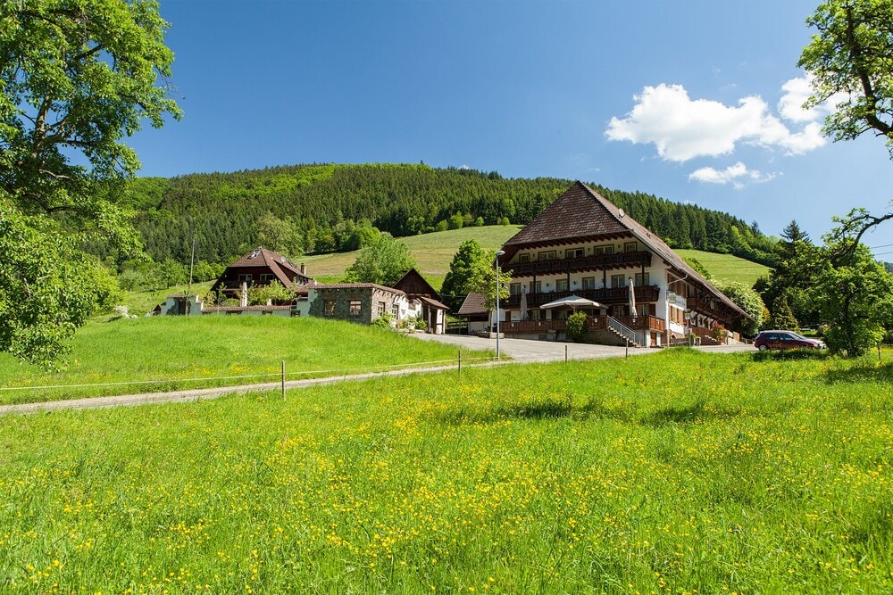 Gutach im Breisgau - Landgasthaus Grüner Baum