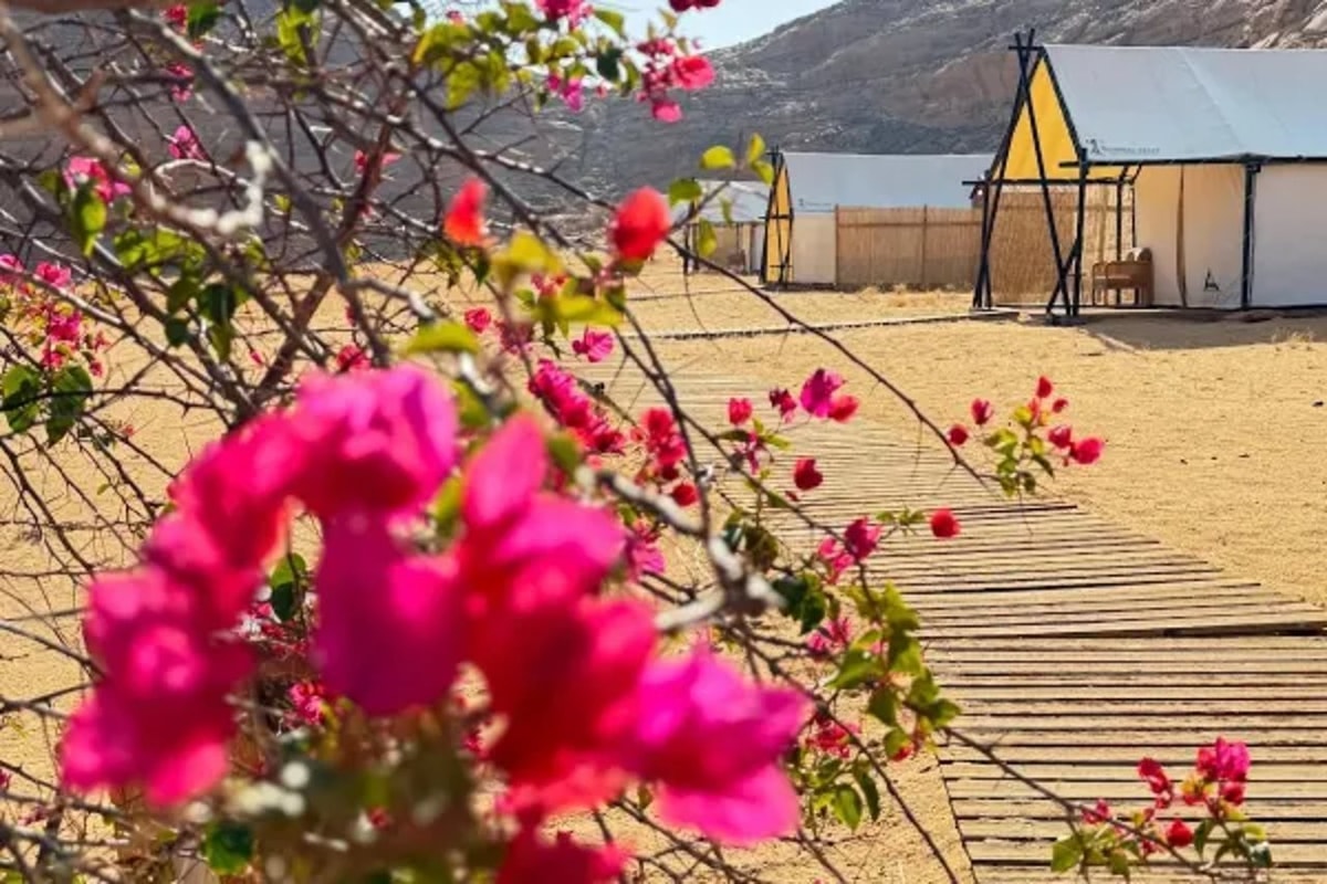 Al-'Ula - 26 North Al Ulah by Prime Hotels