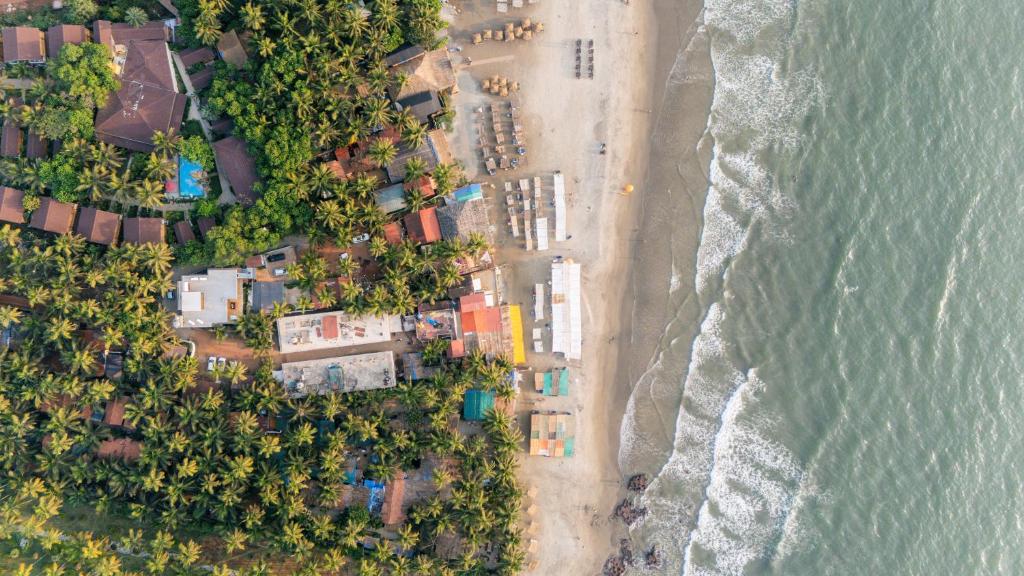 Anjuna - Elivaas House Of Neptune
