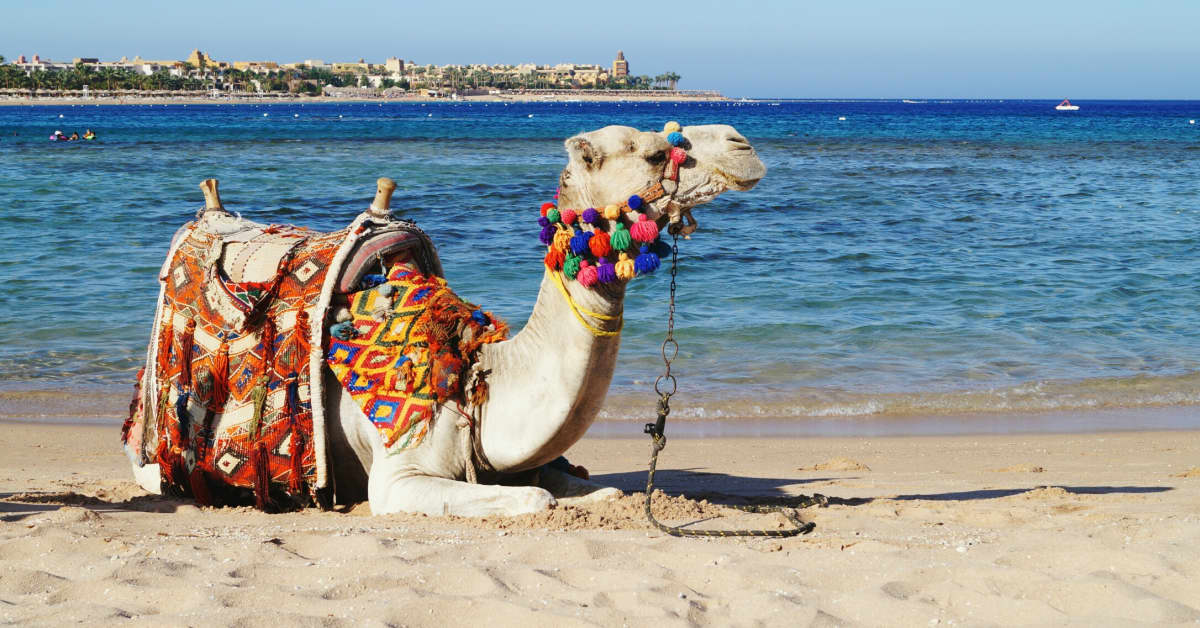 Stockholm - Hurghada
