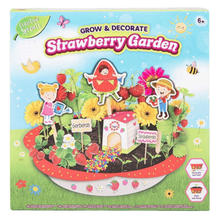 Creative Sprouts Grow & Decorate Strawberry Garden Kit