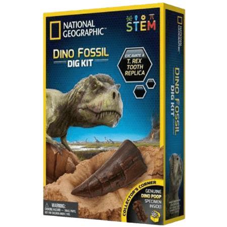 National Geographic Dino Fossil utgrävningssats