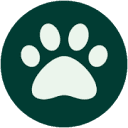 Buddy Pet Foods